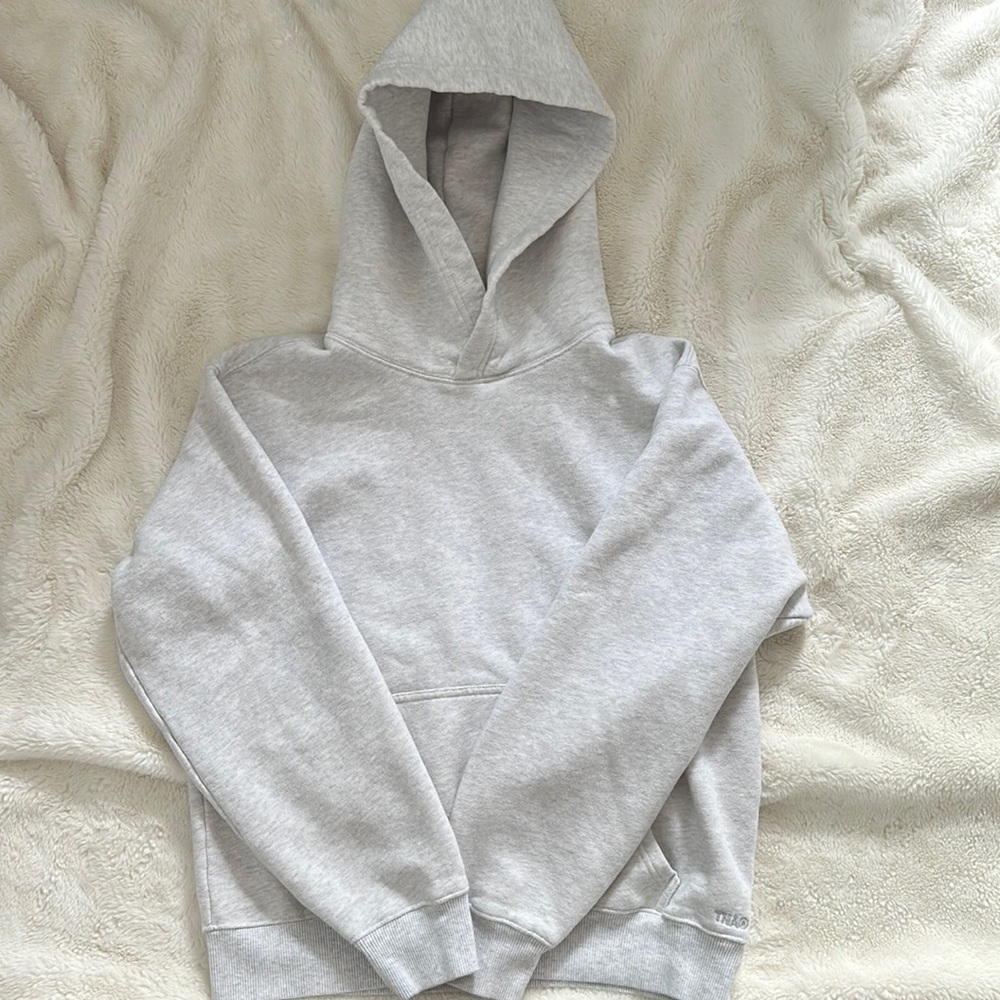 Aritizia Tna Perfect Hoodie Sweatshirt